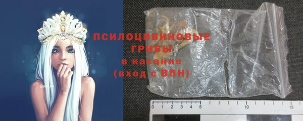 прущая мука Арсеньев