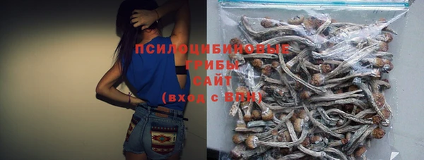 прущий лед Аркадак