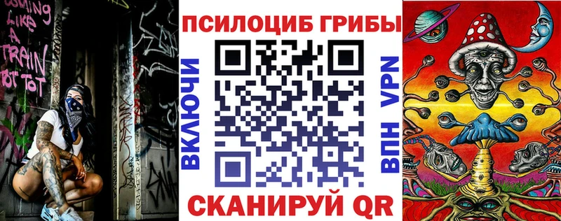 Галлюциногенные грибы Magic Shrooms  МЕГА ссылка  Пушкино  где продают  